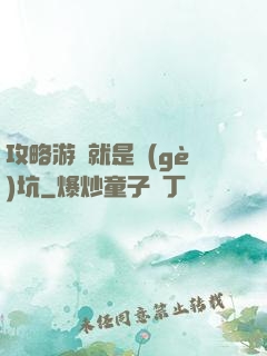 攻略游戲就是個(gè)坑