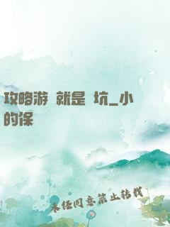 攻略游戲就是個坑