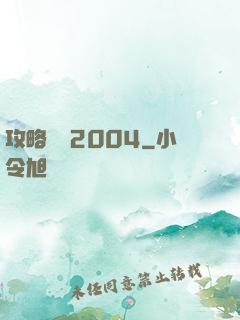 攻略華娛2004