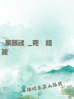 敗家器魂師