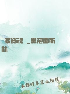 敗家器魂師