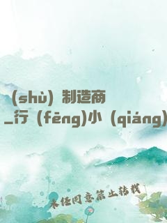 數(shù)碼制造商