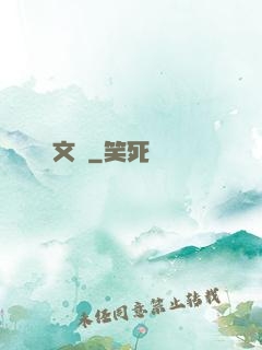 文賊