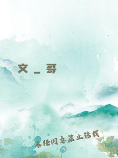 文賊