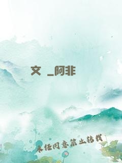 文賊