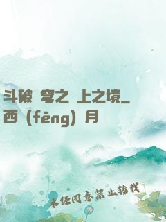 斗破蒼穹之無上之境