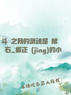 斗羅之我的武魂是無限寶石