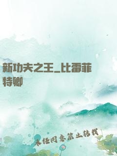 新功夫之王