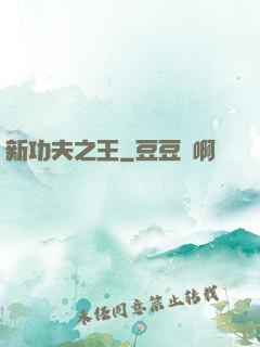 新功夫之王