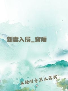 新妻入局