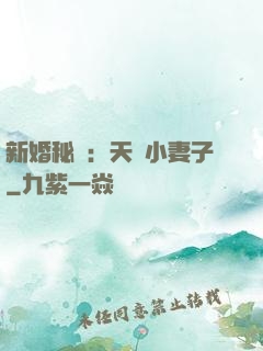 新婚秘愛：天價小妻子