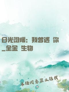 日光微暖：我曾遇見你
