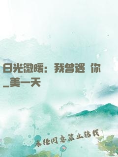 日光微暖：我曾遇見你
