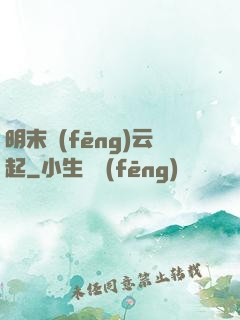 明末風(fēng)云起