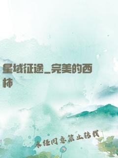 星域征途