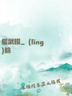 星武耀