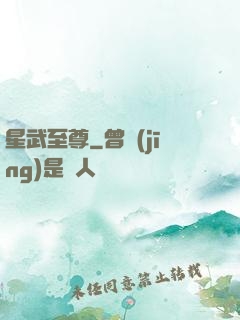 星武至尊
