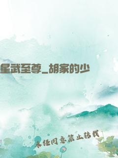 星武至尊