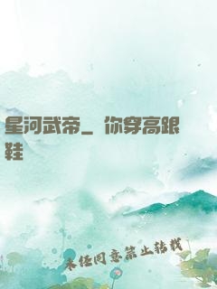 星河武帝