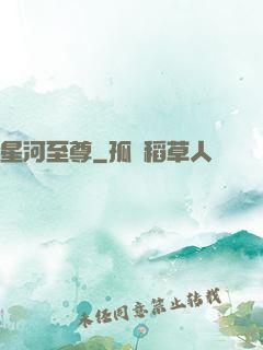 星河至尊