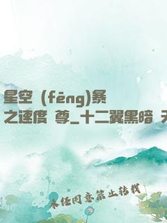 星空風(fēng)暴之速度為尊