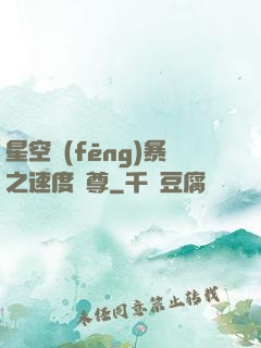 星空風(fēng)暴之速度為尊