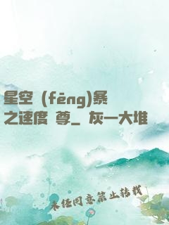 星空風(fēng)暴之速度為尊