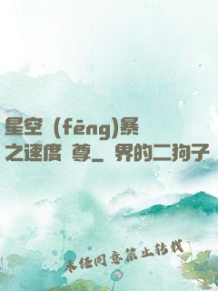 星空風(fēng)暴之速度為尊