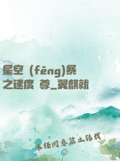 星空風(fēng)暴之速度為尊