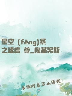 星空風(fēng)暴之速度為尊