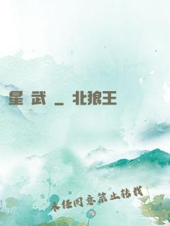 星鎧武裝