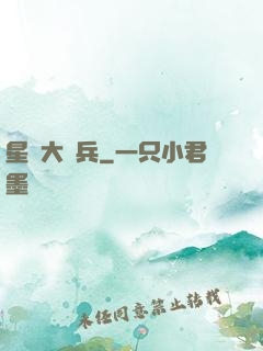 星際大頭兵