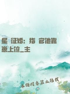 星際征婚：指揮官他靠崽上位