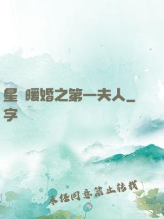 星際暖婚之第一夫人