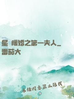 星際暖婚之第一夫人