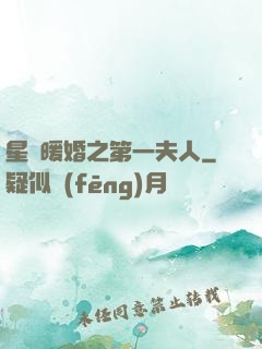 星際暖婚之第一夫人