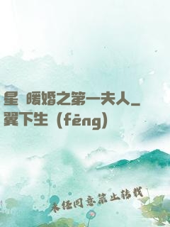 星際暖婚之第一夫人