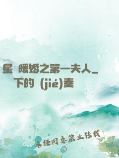 星際暖婚之第一夫人