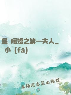 星際暖婚之第一夫人