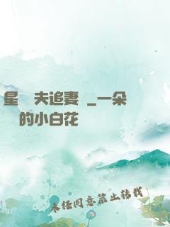 星際獸夫追妻記