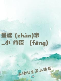星魂戰(zhàn)帝