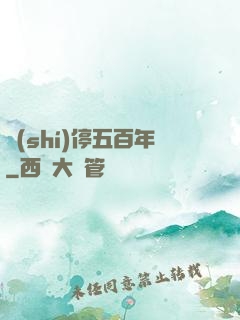 時(shí)停五百年