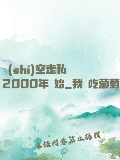 時(shí)空走私從2000年開始