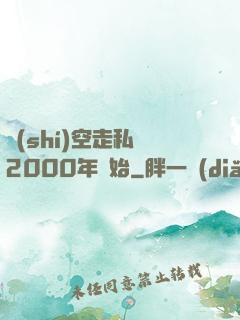 時(shí)空走私從2000年開始