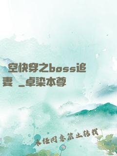 時空快穿之boss追妻記