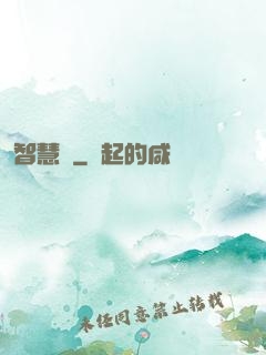 智慧書