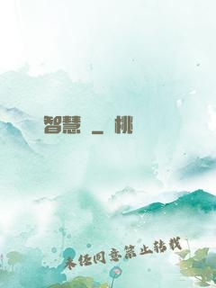 智慧書