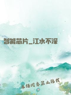 智能芯片