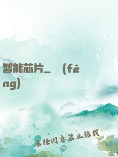 智能芯片