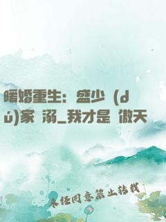 暖婚重生：盛少獨(dú)家寵溺